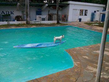 Hostel Laguna Park Cabarete Kültér fotó