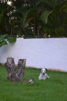 Hostel Laguna Park Cabarete Kültér fotó